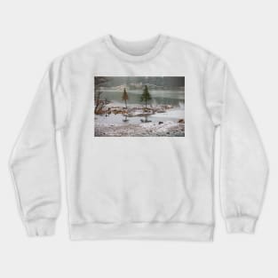 Winter Reflections Crewneck Sweatshirt